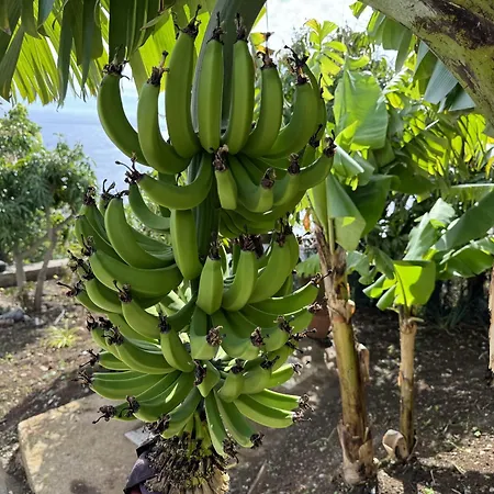 Villa Sky & Ocean Calheta (Madeira)