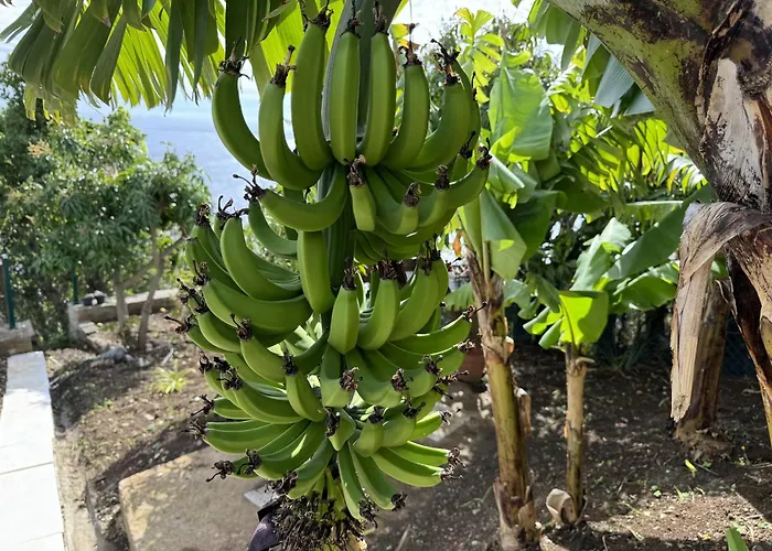 Willa Sky & Ocean Calheta (Madeira)
